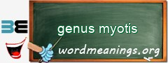 WordMeaning blackboard for genus myotis